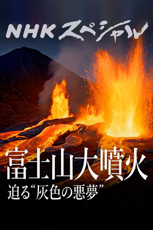 富士山大噴火 迫る“灰色の悪夢” poster