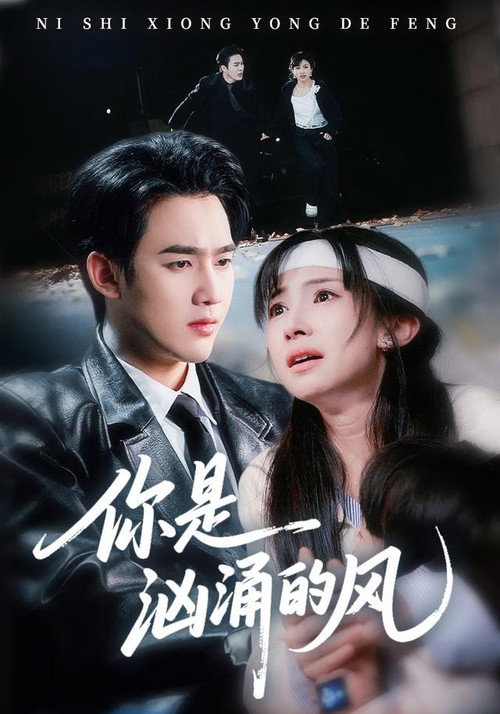 你是汹涌的风 poster