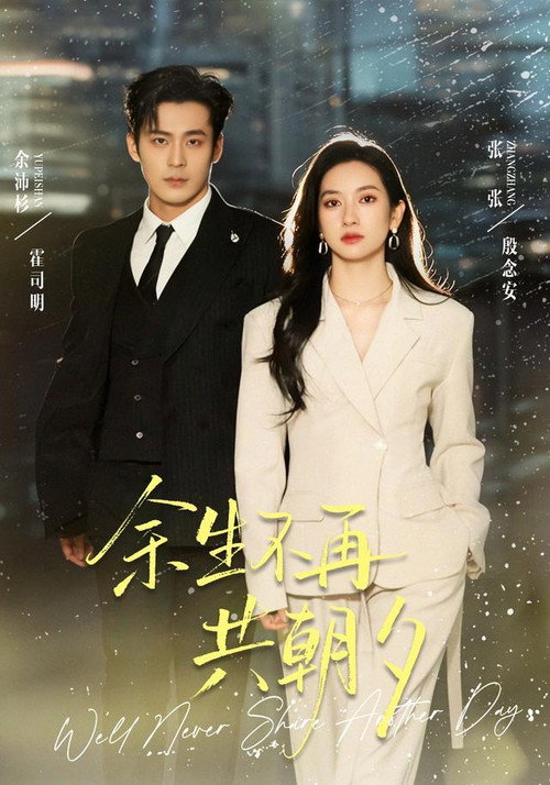 余生不再共朝夕 poster