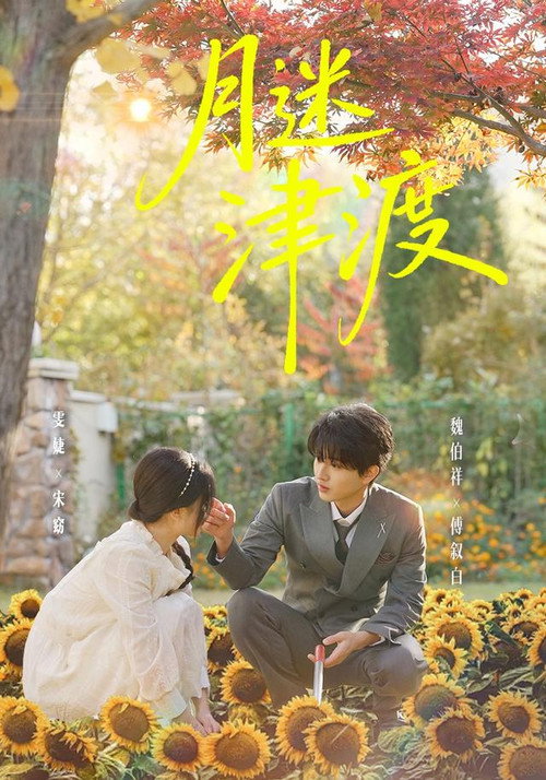 月迷津渡 poster