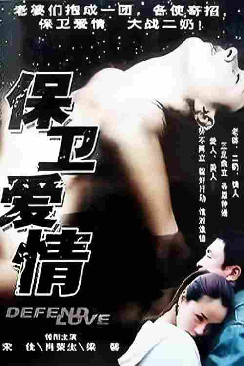 保卫爱情 poster
