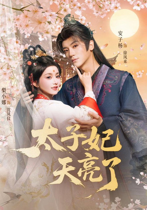 太子妃天亮了 poster