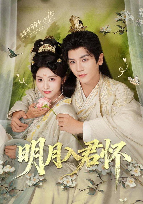 明月入君怀 poster