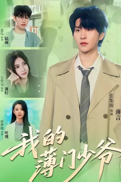 我的薄门少爷 poster