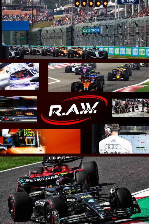 F1 R.A.W. poster