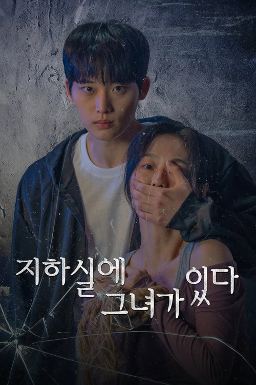 지하실에 그녀가 있다 poster