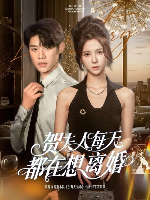 贺夫人每天都在想离婚 poster