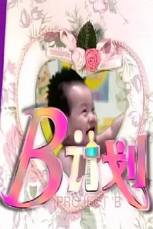 B计划 poster