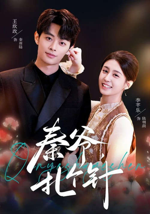 秦爷,扎个针 poster