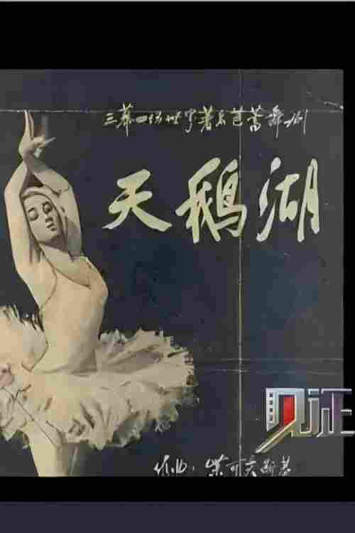 见证·影像志：芭蕾 poster