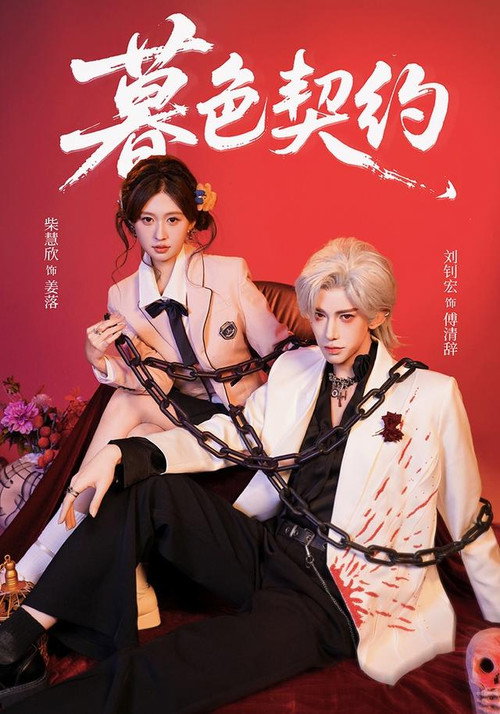 暮色契约 poster