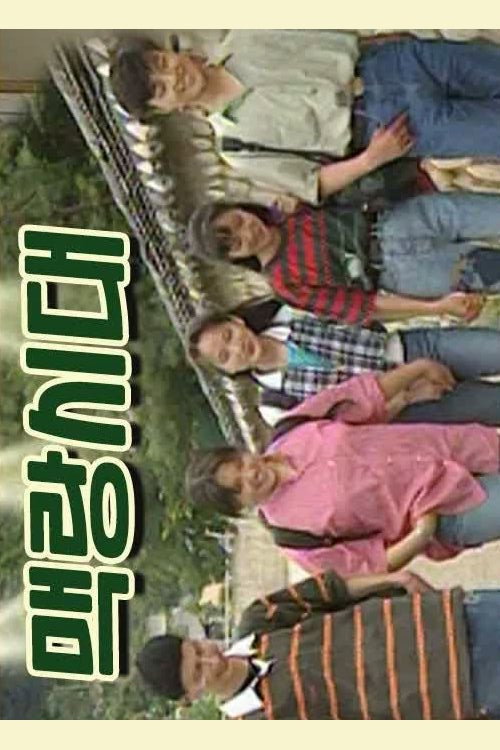 맥랑시대 poster
