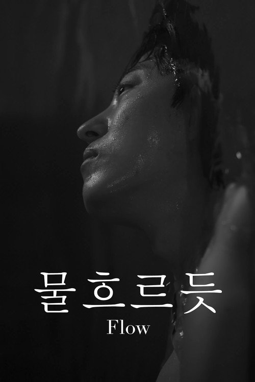 Flow poster