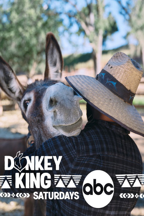 Donkey King poster