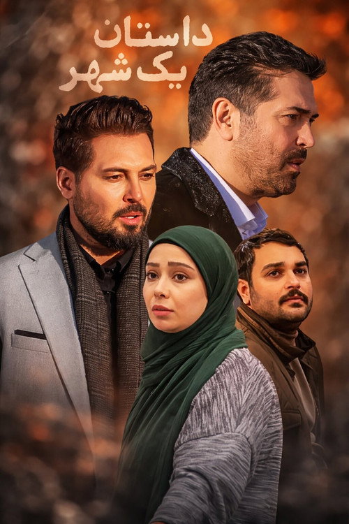 داستان یک شهر poster