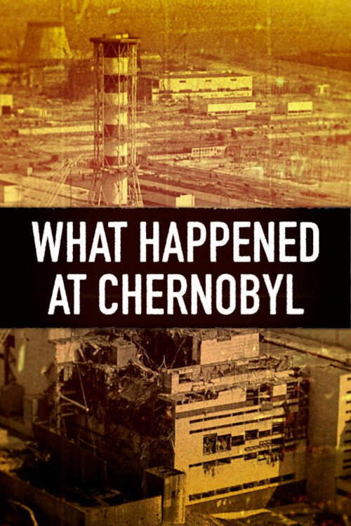 What Happened at...? poster