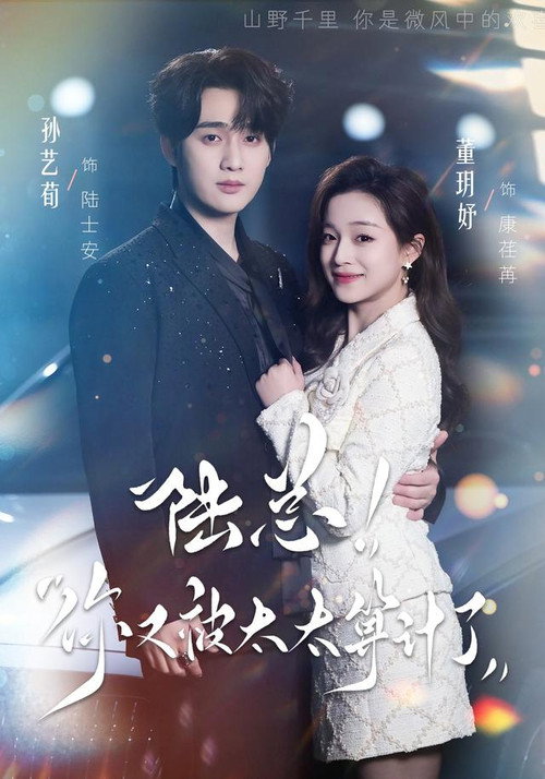 陆总,你又被太太算计了 poster