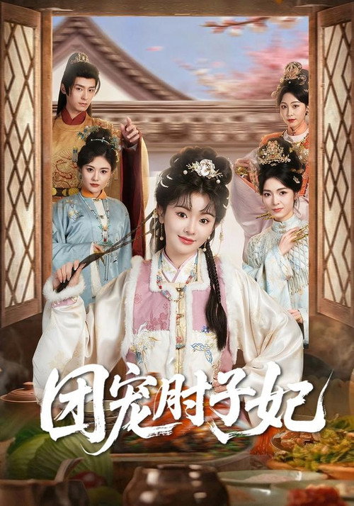 团宠肘子妃 poster