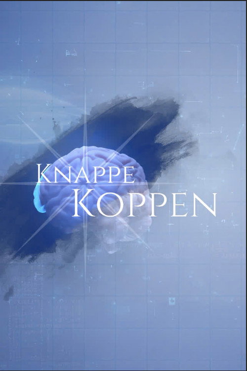 Knappe Koppen poster