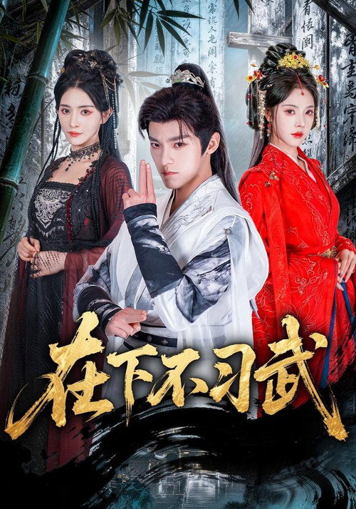 在下不习武 poster