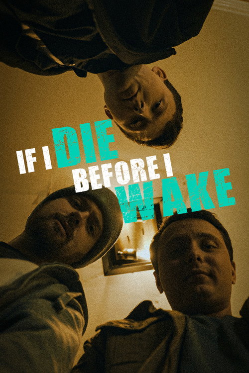 If I Die Before I Wake poster