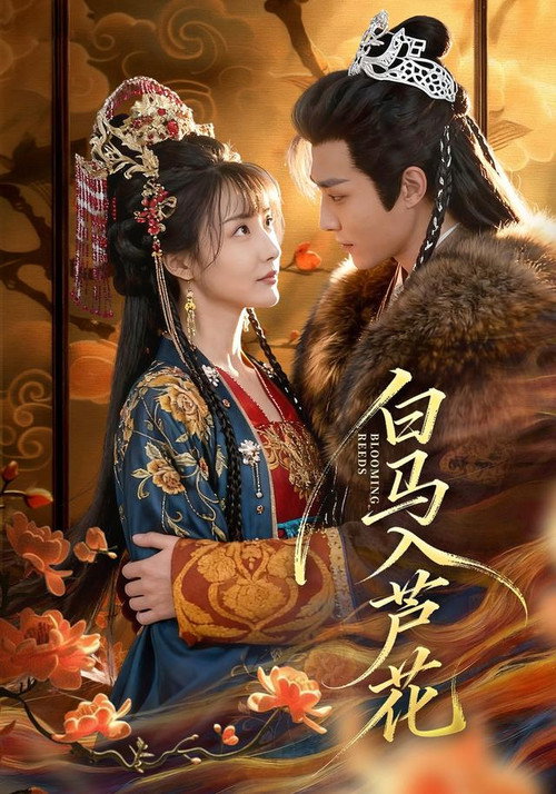 白马入芦花 poster