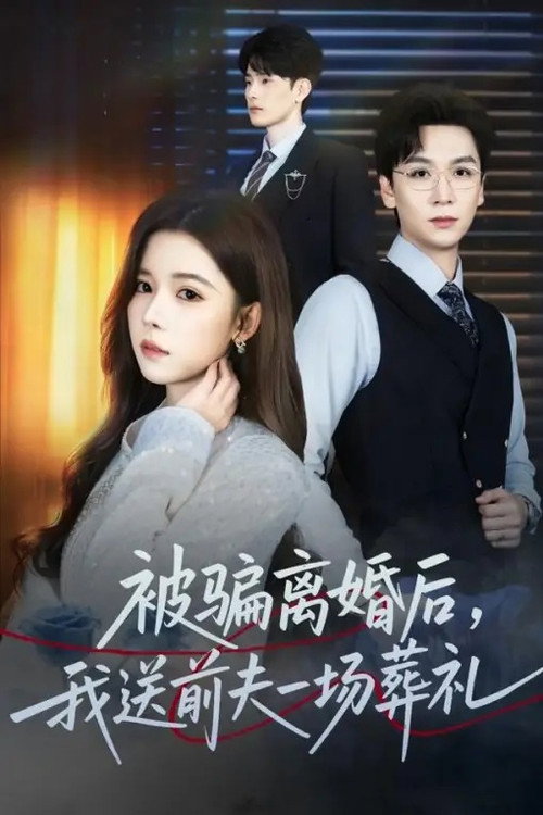 被骗离婚后,我送前夫一场葬礼 poster