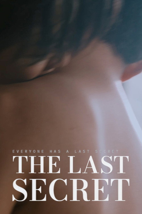 The Last Secret poster