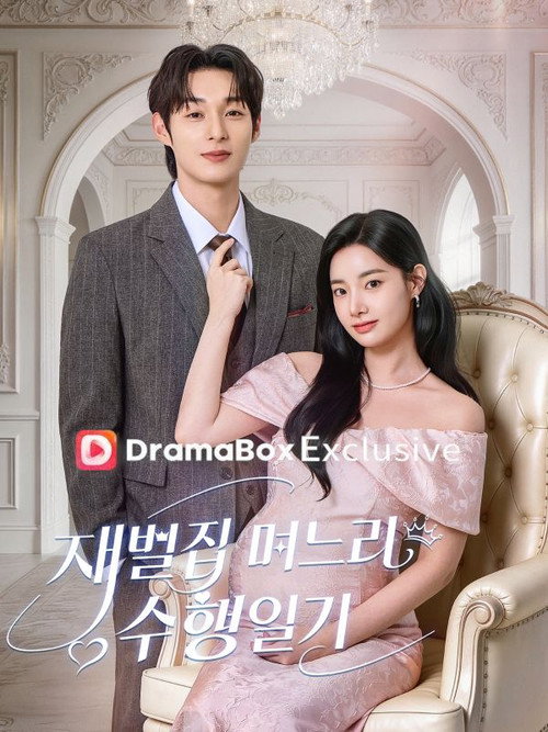 Diary of a Billionaire's Daughter-in-Law poster