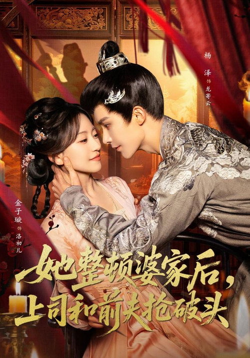 她整顿婆家后，上司和前夫抢破头 poster