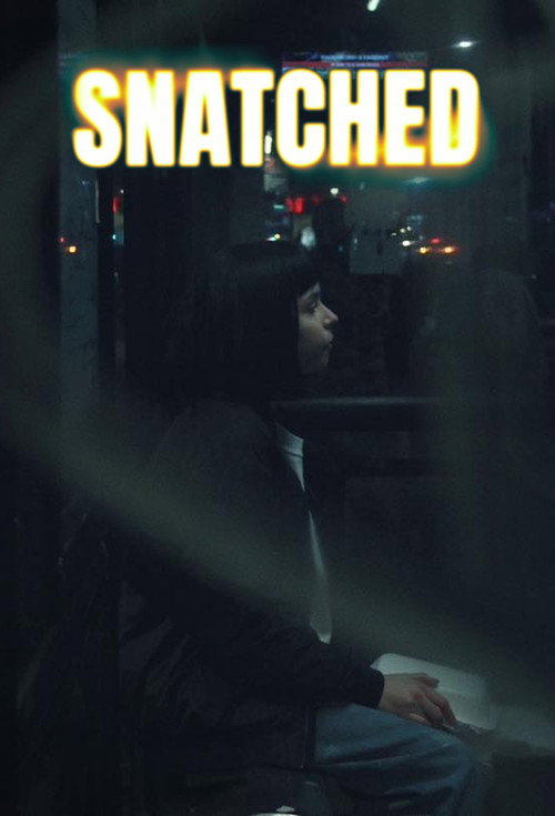 Snatched poster