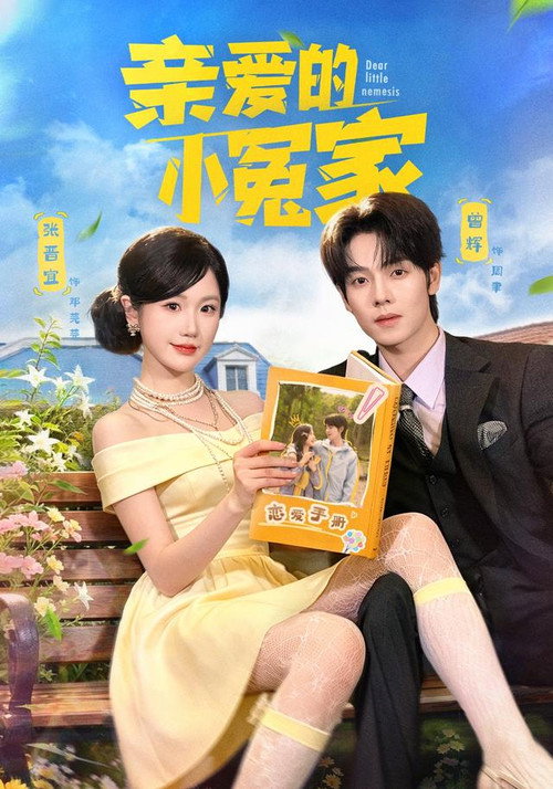 亲爱的小冤家 poster