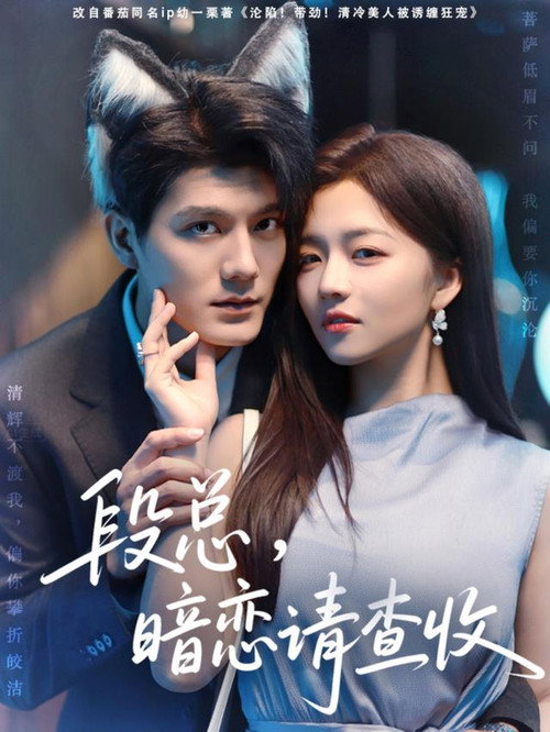 段总,暗恋请查收 poster