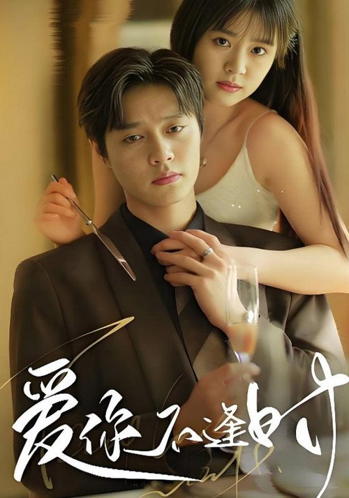 爱你不逢时 poster