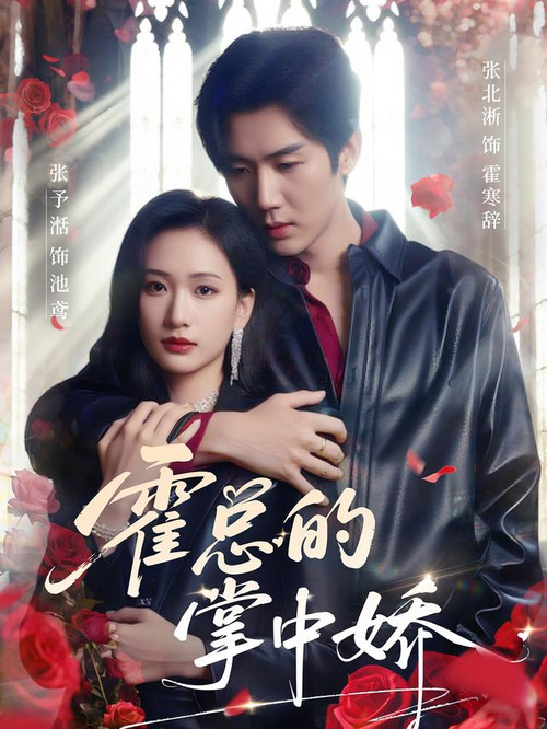 霍总的掌中娇 poster