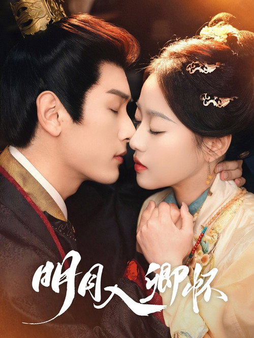 明月入卿怀 poster