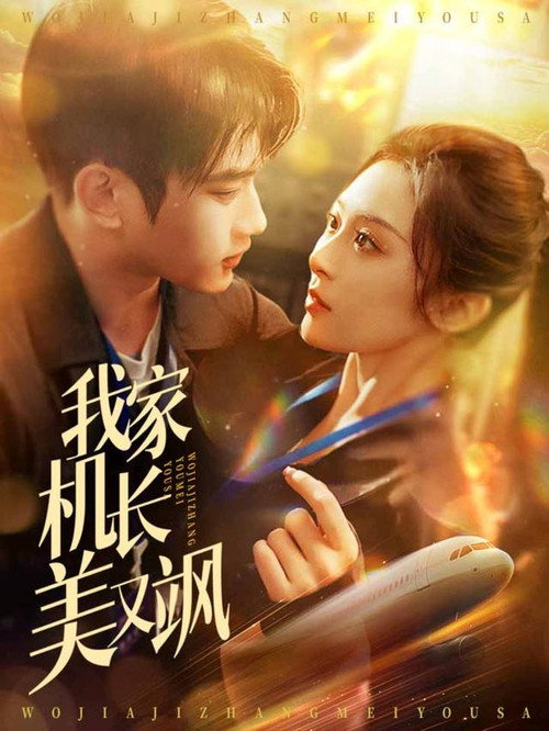 我家机长美又飒 poster
