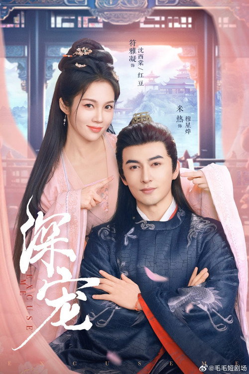深宠 poster