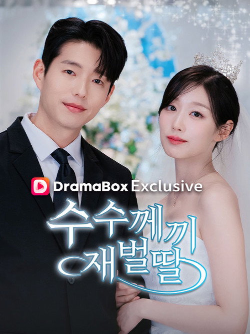 수수께끼 재벌딸 poster
