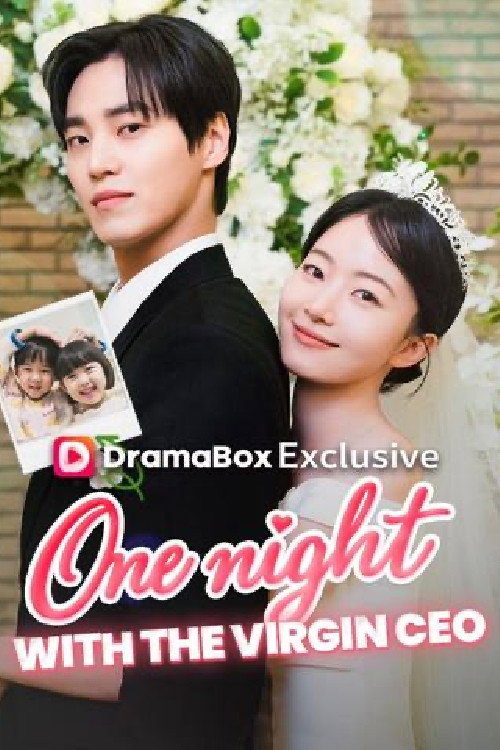 One Night With the Virgin CEO poster
