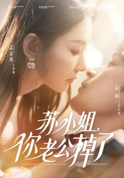 苏小姐,你老公掉了 poster