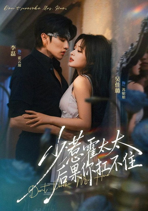少惹霍太太,后果你扛不住 poster
