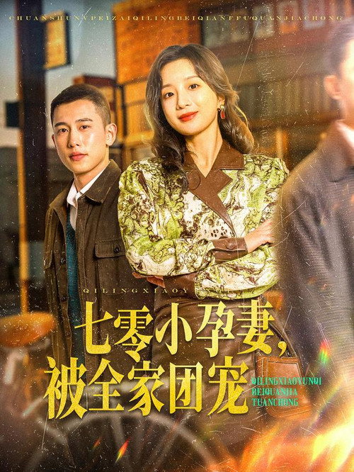 七零小孕妻，被全家团宠 poster