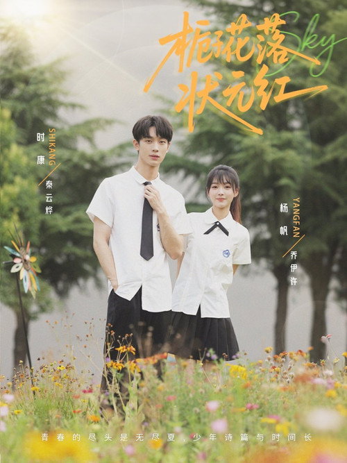 栀子花落状元红 poster