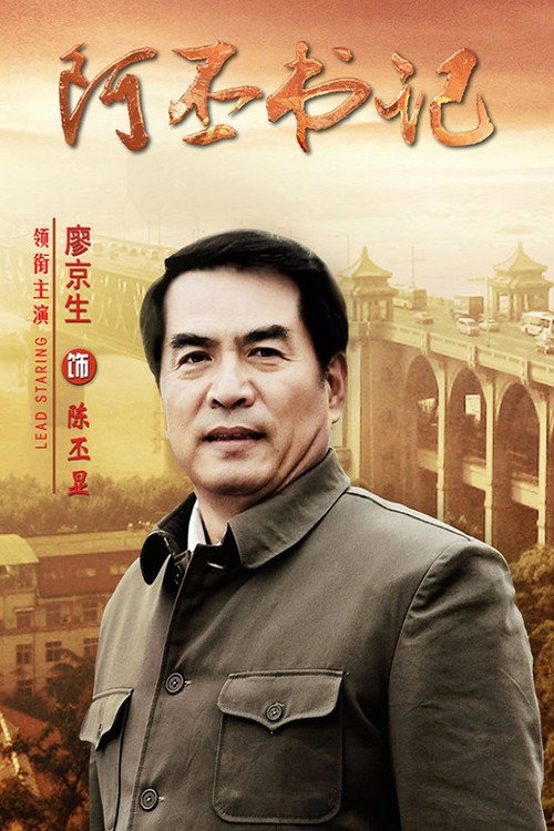 阿丕书记 poster