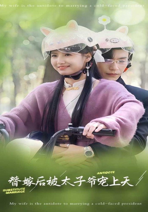 替嫁后被太子爷宠上天 poster