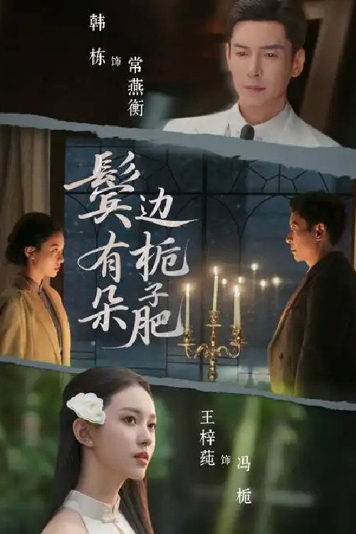 鬓边有朵栀子肥 poster