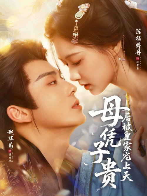 母凭子贵后被皇家宠上天 poster