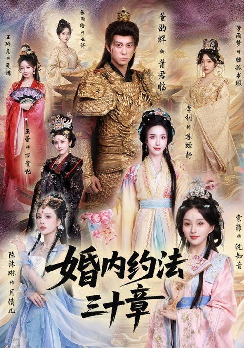 婚内约法三十章 poster