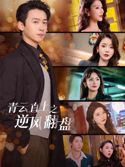 青云直上之逆风翻盘 poster